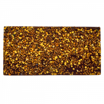 Bitterschokolade mit Bienenpollen 74 Schokoladenrückseite